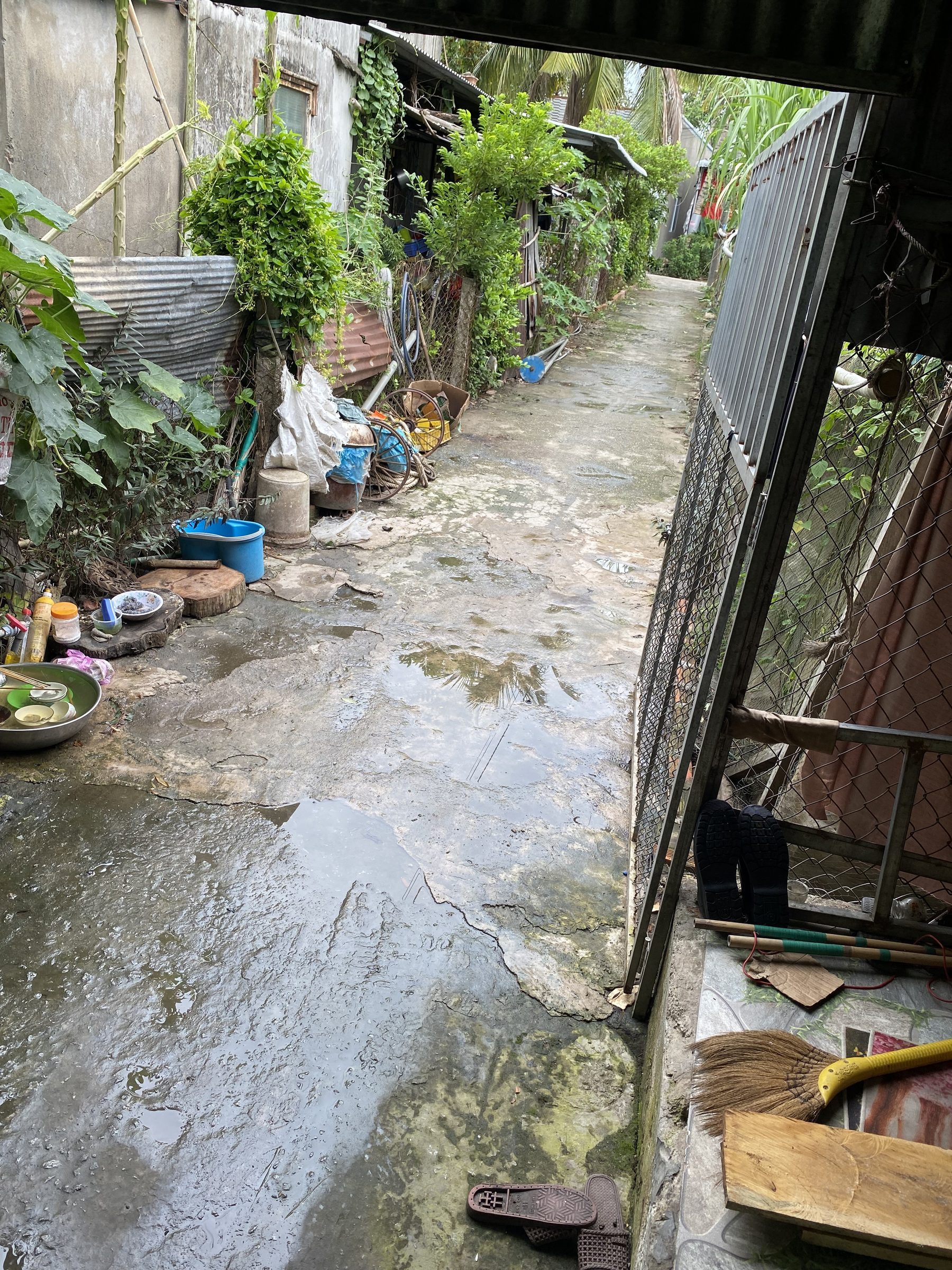 Bán Nhà riêng 160m2 có sẵn 160 m2 thổ cư giá 900triệu tại Đường Lâm Thanh Hồng Thị trấn Thị Trấn Óc Eo Huyện Thoại Sơn An Giang