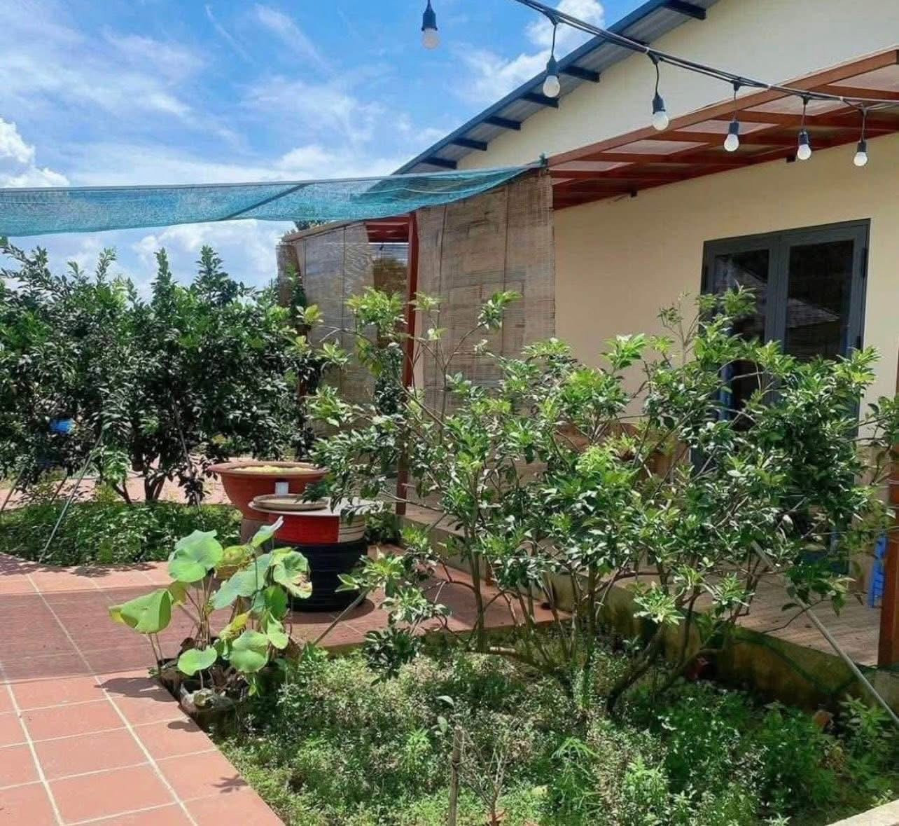 🚨 690 TRIỆU CÓ NGAY NHÀ VƯỜN 1.000M² TẠI MINH HƯNG – CHƠN THÀNH 🚨