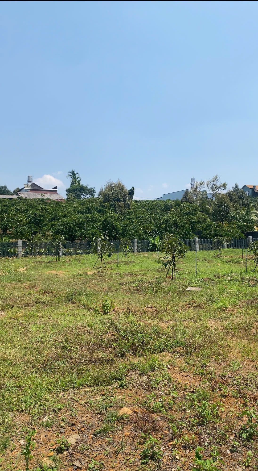 🌿 ĐẤT NGHỈ DƯỠNG PHƯỜNG 3 BẢO LỘC – 400M² THỔ CƯ – SẴN AO & SÂN VƯỜN 🌿

💰 𝗚𝗶𝗮́: 2 𝘁𝘆̉ 850 (𝗰𝗼́ 𝘁𝗵𝘂̛𝗼̛𝗻𝗴 𝗹𝘂̛𝗼̛̣𝗻𝗴)
📏 𝗗𝗶𝗲̣̂𝗻 𝘁𝗶́𝗰𝗵: 𝟭.𝟮𝟬𝟬𝗺² (𝟯𝟭𝗺 x 𝟯𝟱𝗺)
🏡 𝗧𝗵𝗼̂̉ 𝗰𝘂̛: 𝟰𝟬𝟬𝗺² đất ở (giá trị cao – cực hiếm)