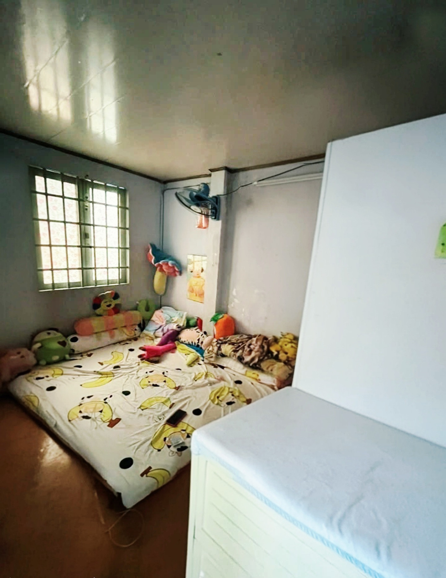 Bán nhà Lê Thiệt, Phú Thọ Hòa, Tân Phú – 3 tầng, 3PN, lô góc 2 mặt thoáng, chỉ 3.8 tỷ