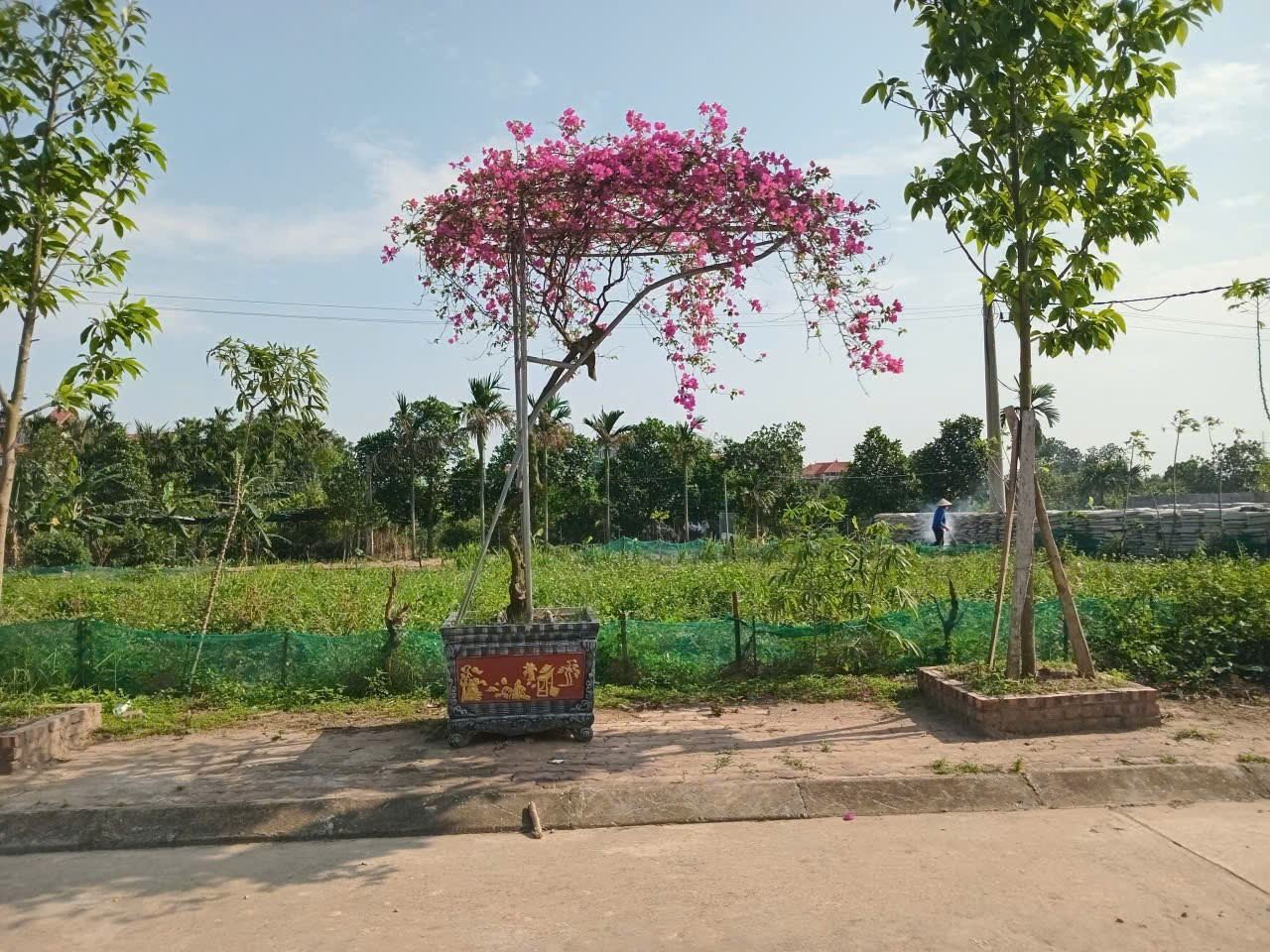 Đấu giá Nghĩa Trụ Văn Giang  vỉa hè ô tô tránh