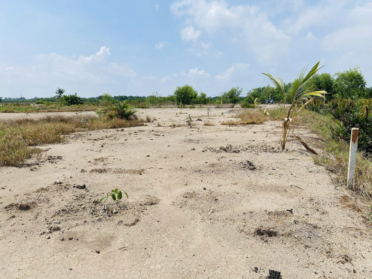 Bán đất lang, Nguyễn Văn Tạo, 2100m² ngang 38m, giá 2.5 tỷ, Xã Hiệp Phước