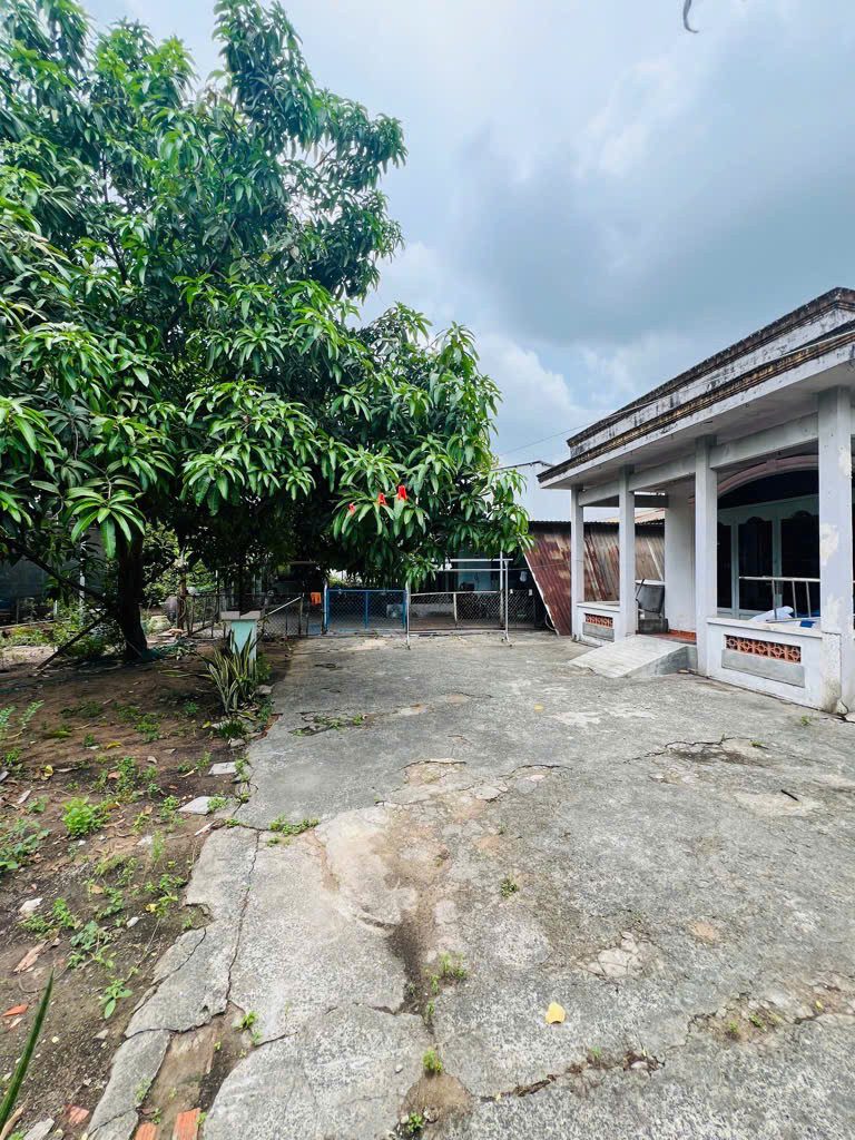 QUỸ ĐẤT HƠN 400M2 - NGANG 10M - GIÁ ĐẦU TƯ