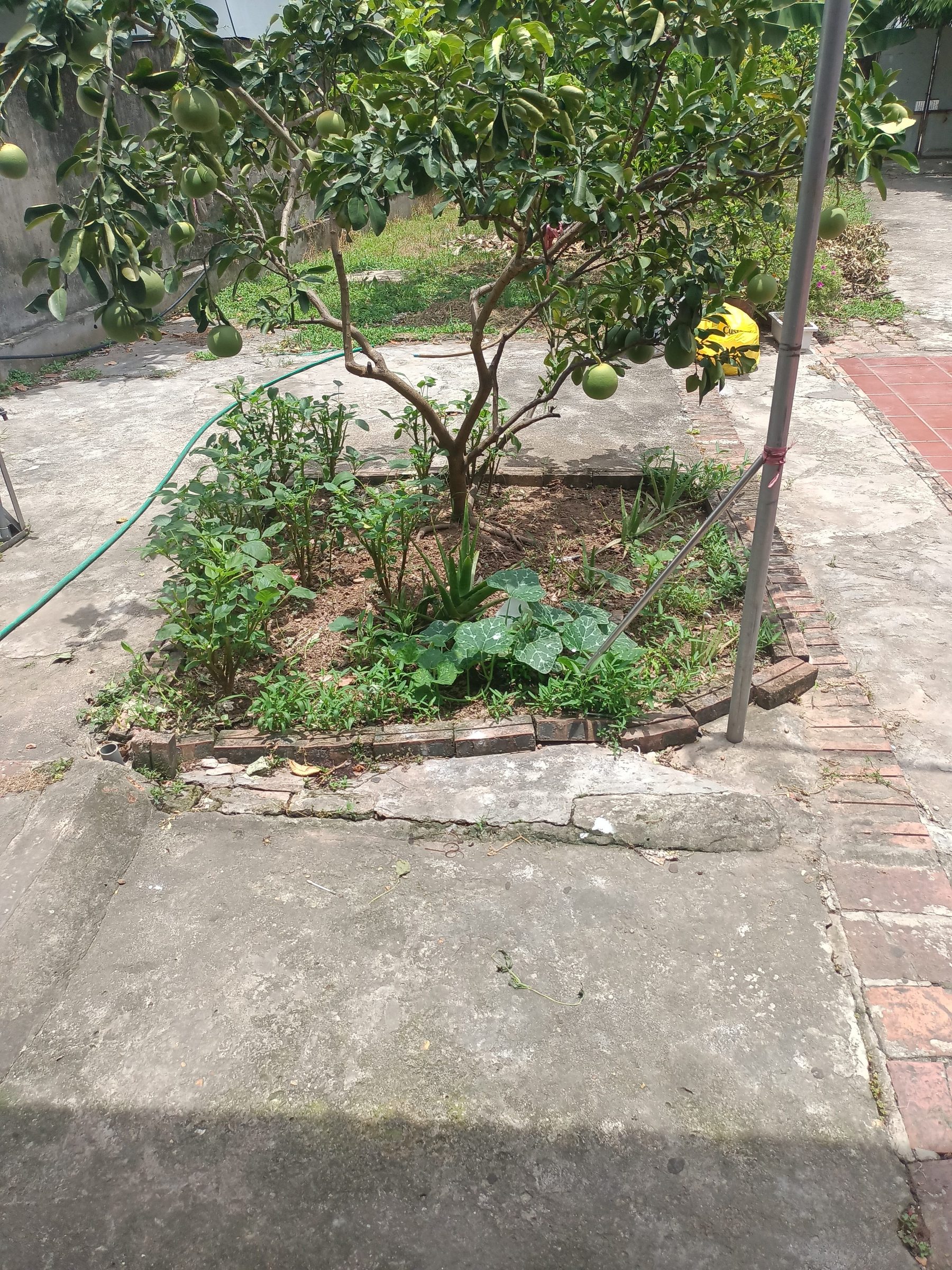 Mảnh Đất siêu đẹp vị trí vàng , khu dân trí cao