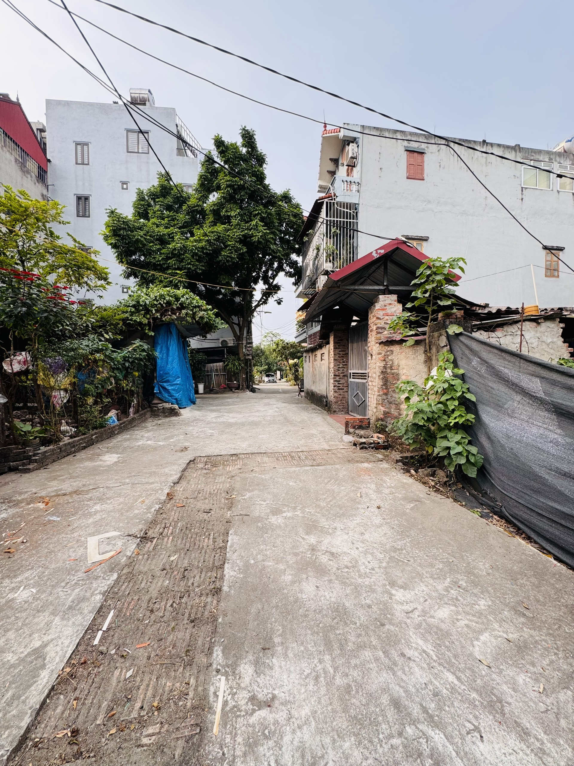 Bán Đất 50m² thổ cư 44m² giá 3.7 tỷ tại Đường Liên tỉnh 179 Xã Dương Xá Huyện Gia Lâm Hà Nội