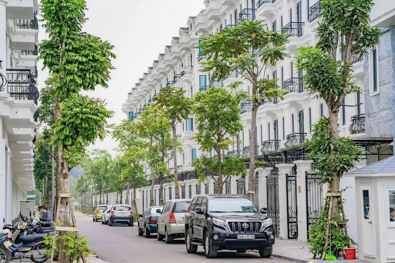 Bán nhà phân lô liền kề khu đô thị bắc linh đàm, Đặng xuân bảng, 5 tầng thang máy, ô tô, 100m2, 28.9 tỷ