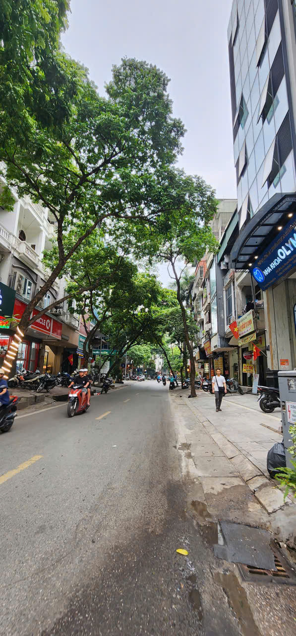 Bán nhà phố Linh Lang, Đào Tấn. Dt 140m2, Rộng 12m khu VIP, Kinh doanh đẳng cấp, Giá 75 tỷ