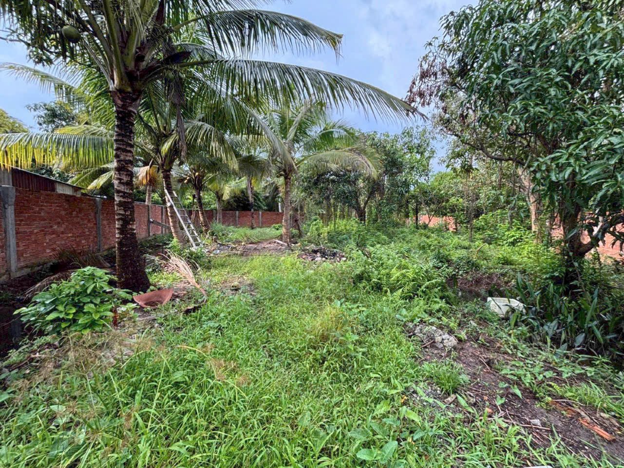 🏠1500m2 MẶT TIỀN LỘ VÒNG CUNG, PHƯỜNG AN BÌNH, TP CẦN THƠ. ( cách chợ Mỹ Khánh 950m ).