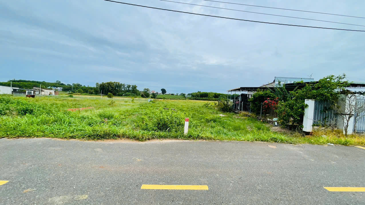 🔥 NGỘP GẤP – 1.288m² ĐẤT NHÀ VƯỜN ĐẸP, GẦN BIỂN PHƯỚC HẢI 🔥GIÁ 1TY880