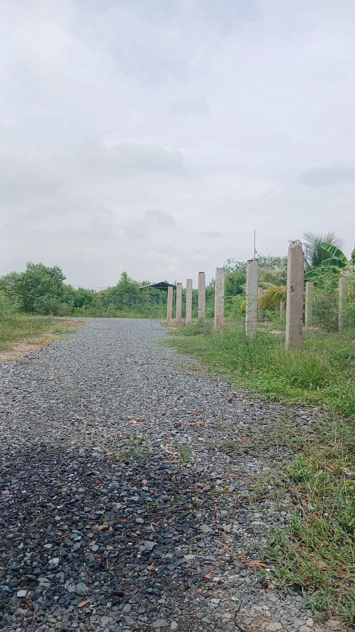 🏡🌿 MẶT TIỀN ĐƯỜNG LONG PHƯỚC – QUỸ ĐẤT SINH THÁI HIẾM – 4.815M² – NGANG 38M – CHỈ 43.335 TỶ 🌿🏡