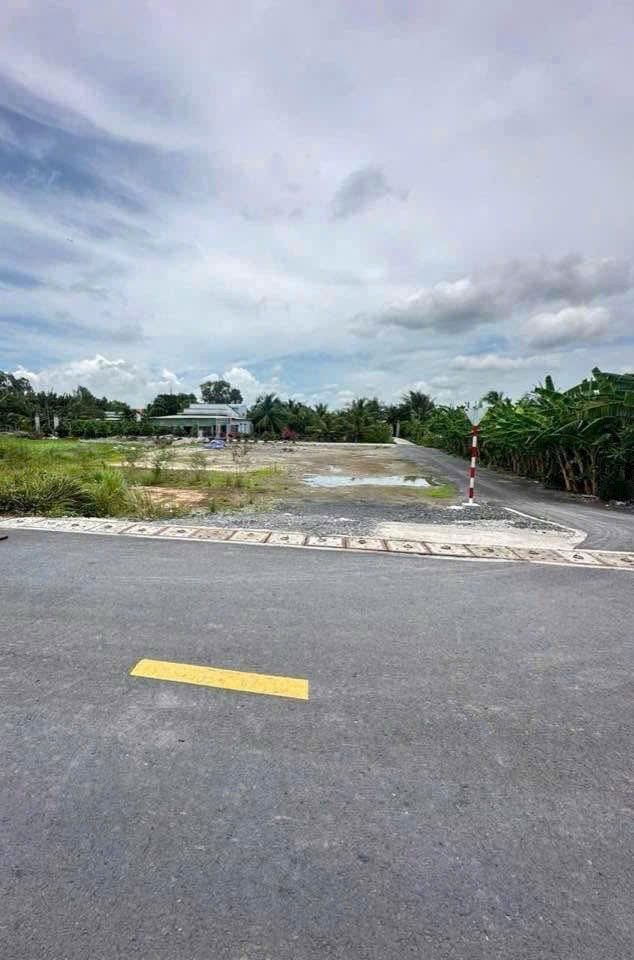 Đất 1000m2 (25x41) có 884m2 thổ cư, 3MT Lương Ngang, Tân Nhựt, Bình Chánh, giá giảm còn 13,5 tỷ