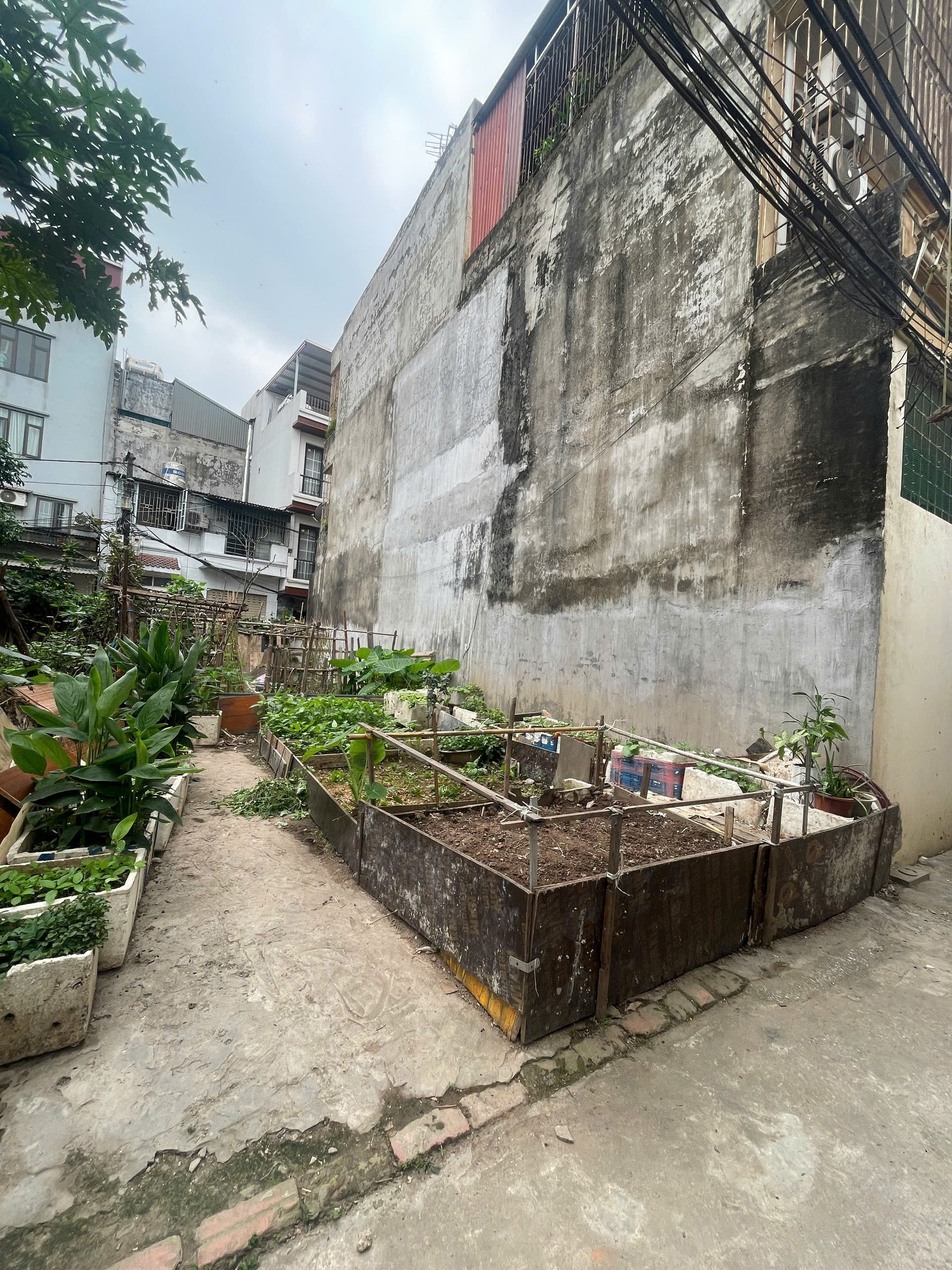 BÁN ĐẤT THƯỢNG THANH - LÝ SƠN - MẶT TIỀN RỘNG - Ô TÔ ĐỖ CỬA ĐẤT - 15M RA 3 Ô TÔ TRÁNH - ĐẦU TƯ SINH LỜI KHỦNG