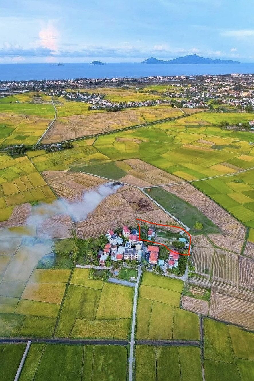 ❌ Bán mảnh 1650m2 ( ngang 50m ) - View Lúa đường Lý Thái Tổ, Hội An - Giá 35tr/m2