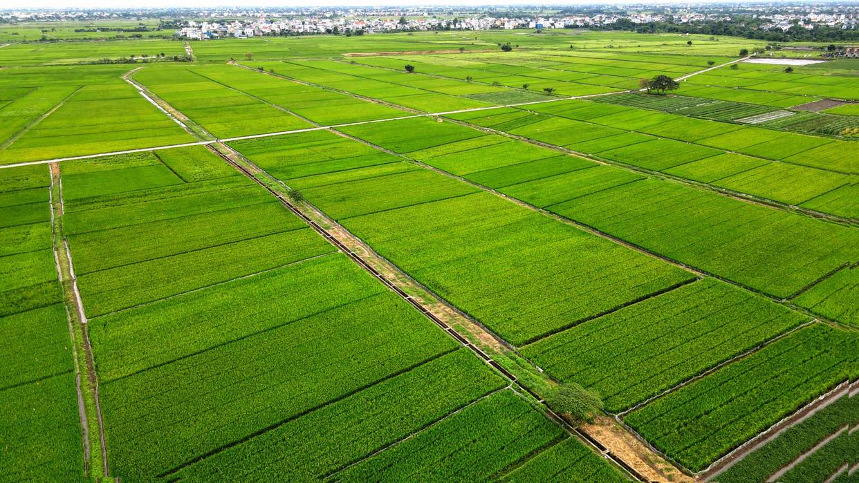 CƠ HỘI ĐẦU TƯ ĐẤT LÚA GIÁ RẺ TẠI NHƠN TRẠCH - ĐỒNG NAI