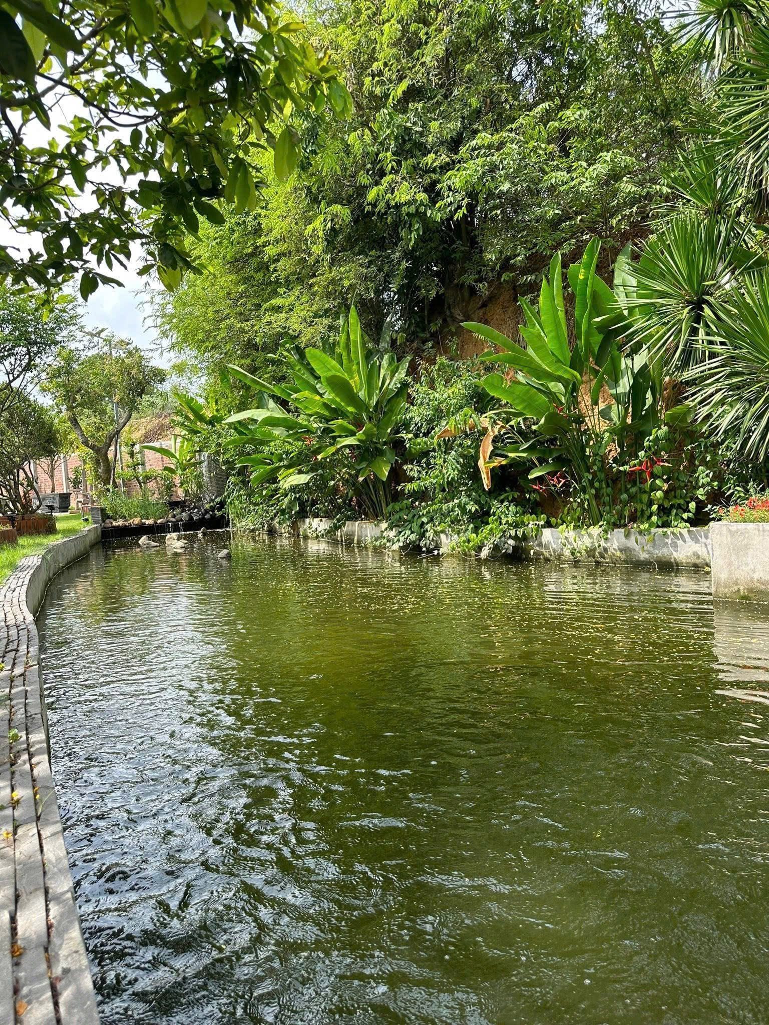 BÁN BIỆT THỰ RỪNG XÃ HỒ TRÀM HCM