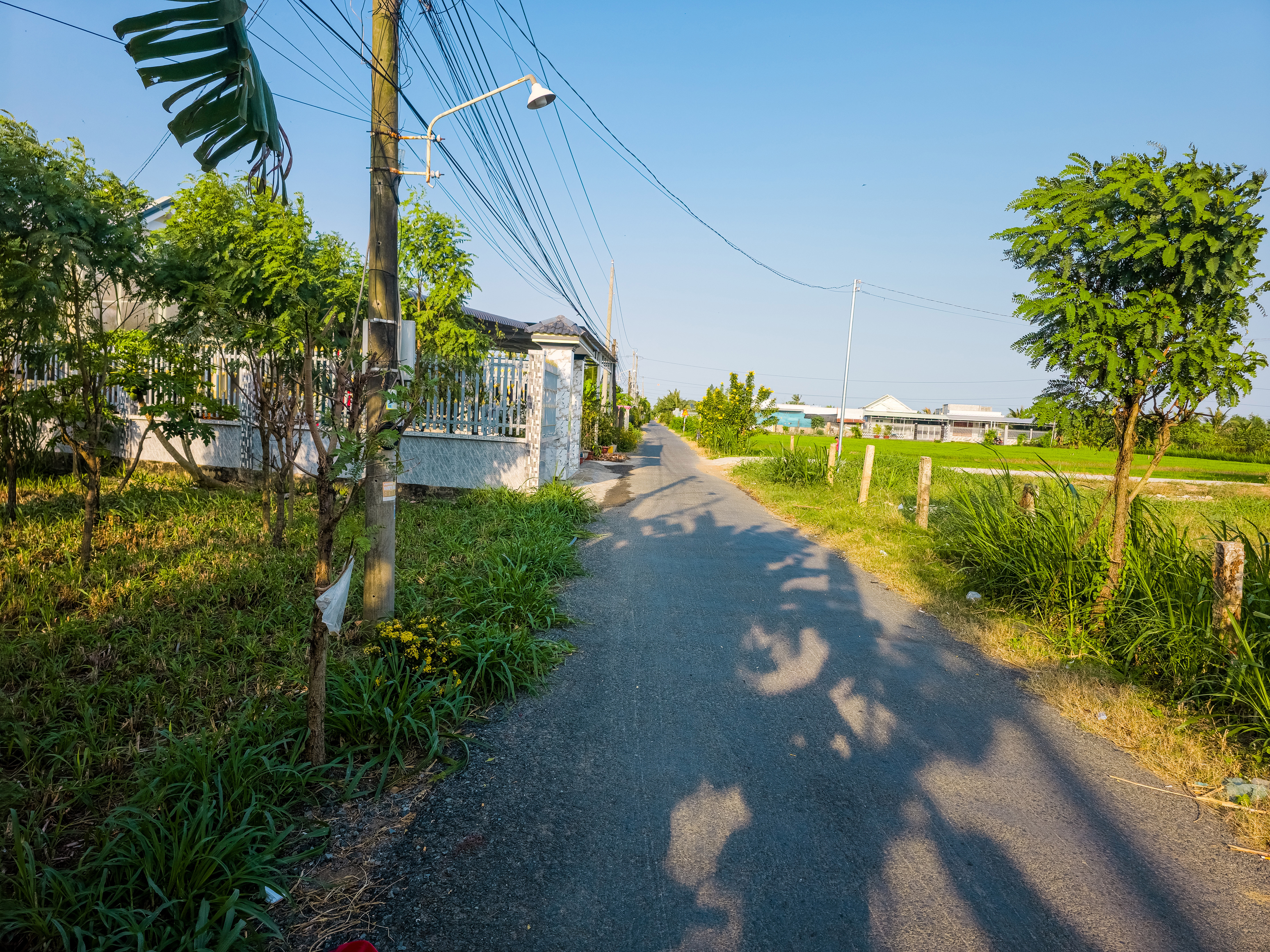 Bán nền đất Tân Đông, Gò Công Đông, ôtô chạy tới đất, 300m², 720 triệu