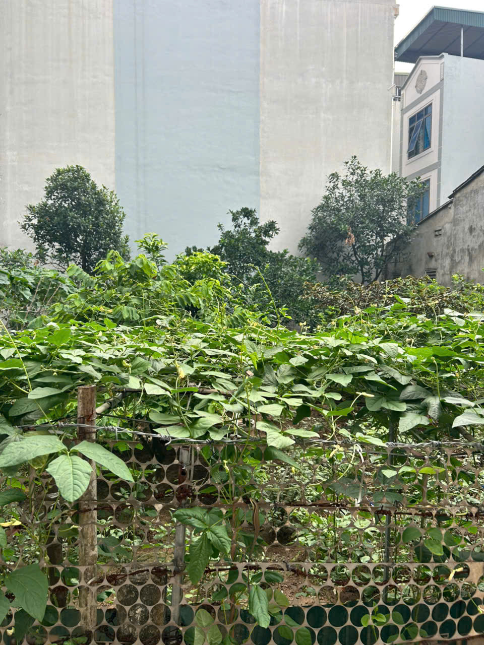 ĐẤT KHU LÕI PHÚC ĐỒNG - NGÕ CỰC NÔNG THOÁNG SÁNG 40M² - GIÁ ĐẦU TƯ - CHỐT NHANH!