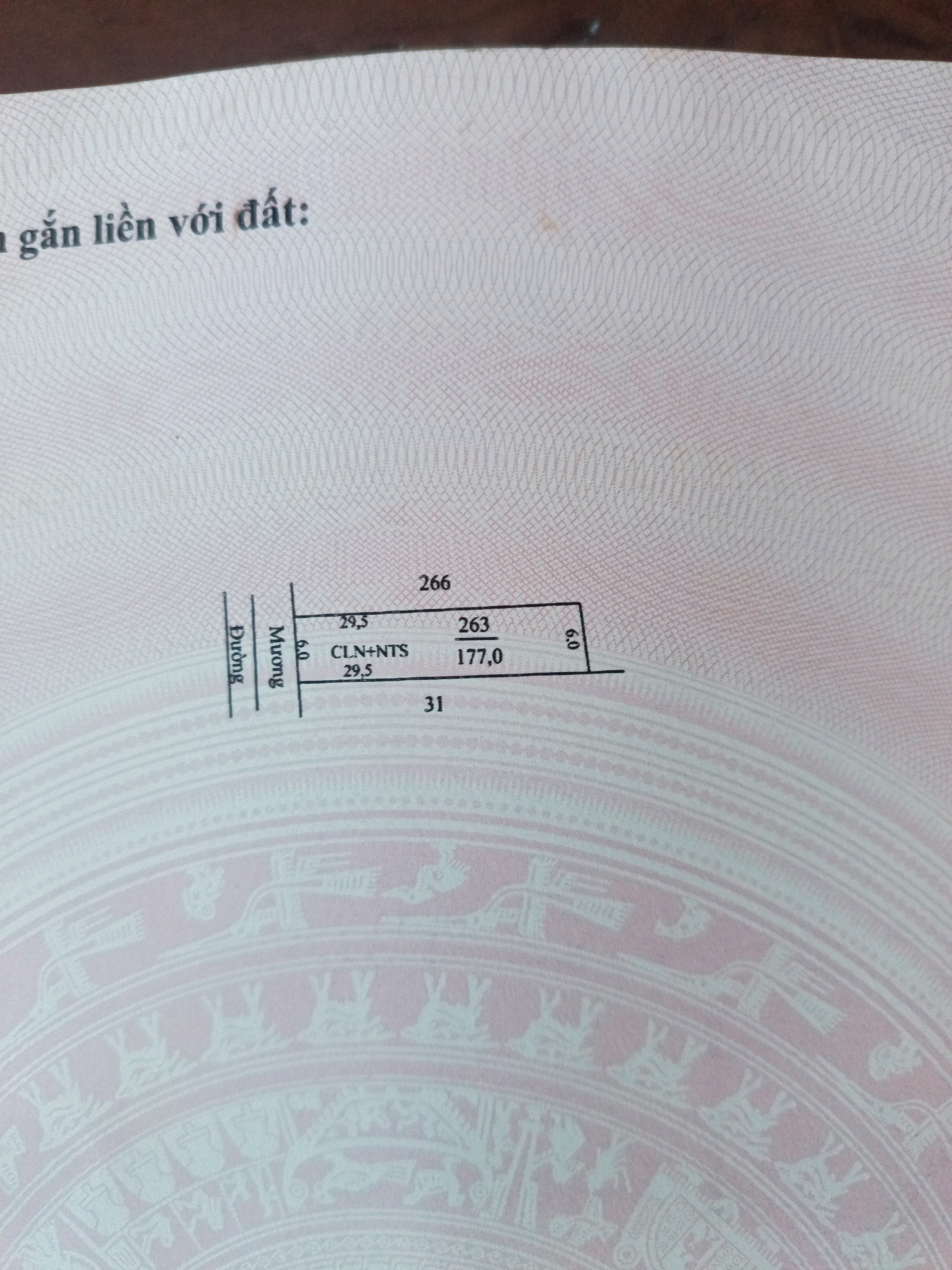 Có 80m thổ cư. DT 6x29