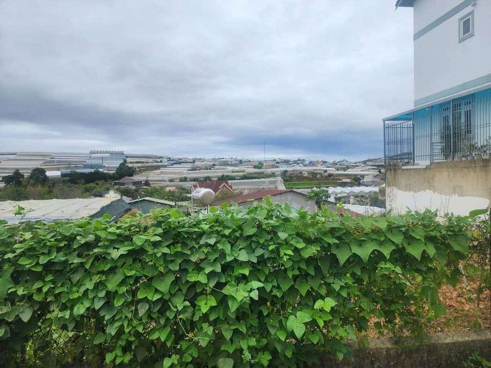 Đất Nam Hồ View Đẹp Giá Đầu Tư