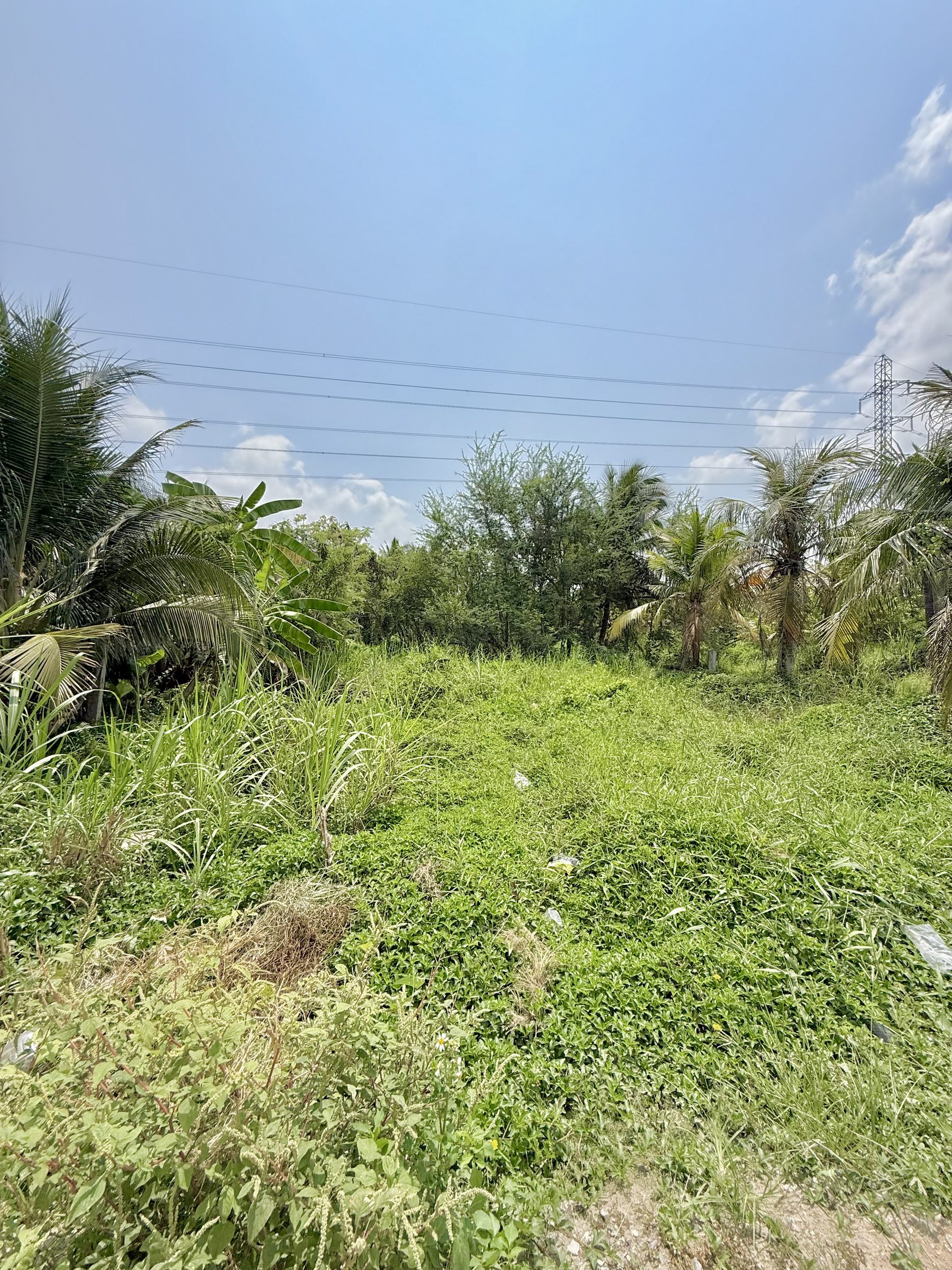 🌿🔥 ĐẤT VƯỜN NỞ HẬU ĐẸP – TRUNG AN – GIÁ MỀM 🔥🌿