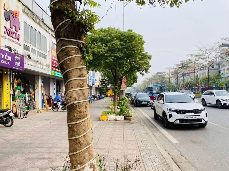 MẶT PHỐ NGÔ GIA TỰ - 12 TỶ X - 4 TẦNG KINH DOANH- CHO THUÊ DÒNG TIỀN
