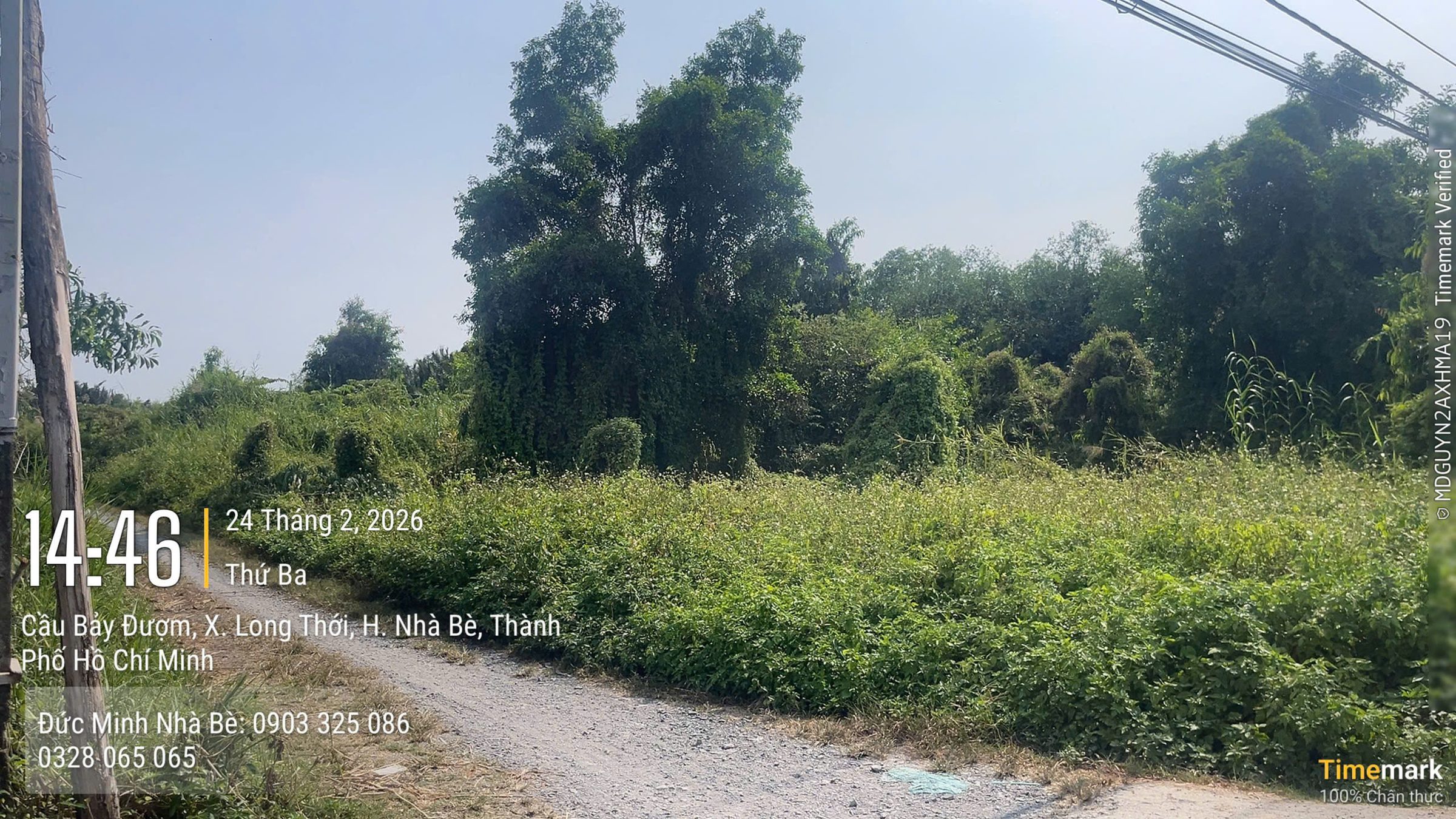4000m2 mặt đường 12 , giá 5tr/m2