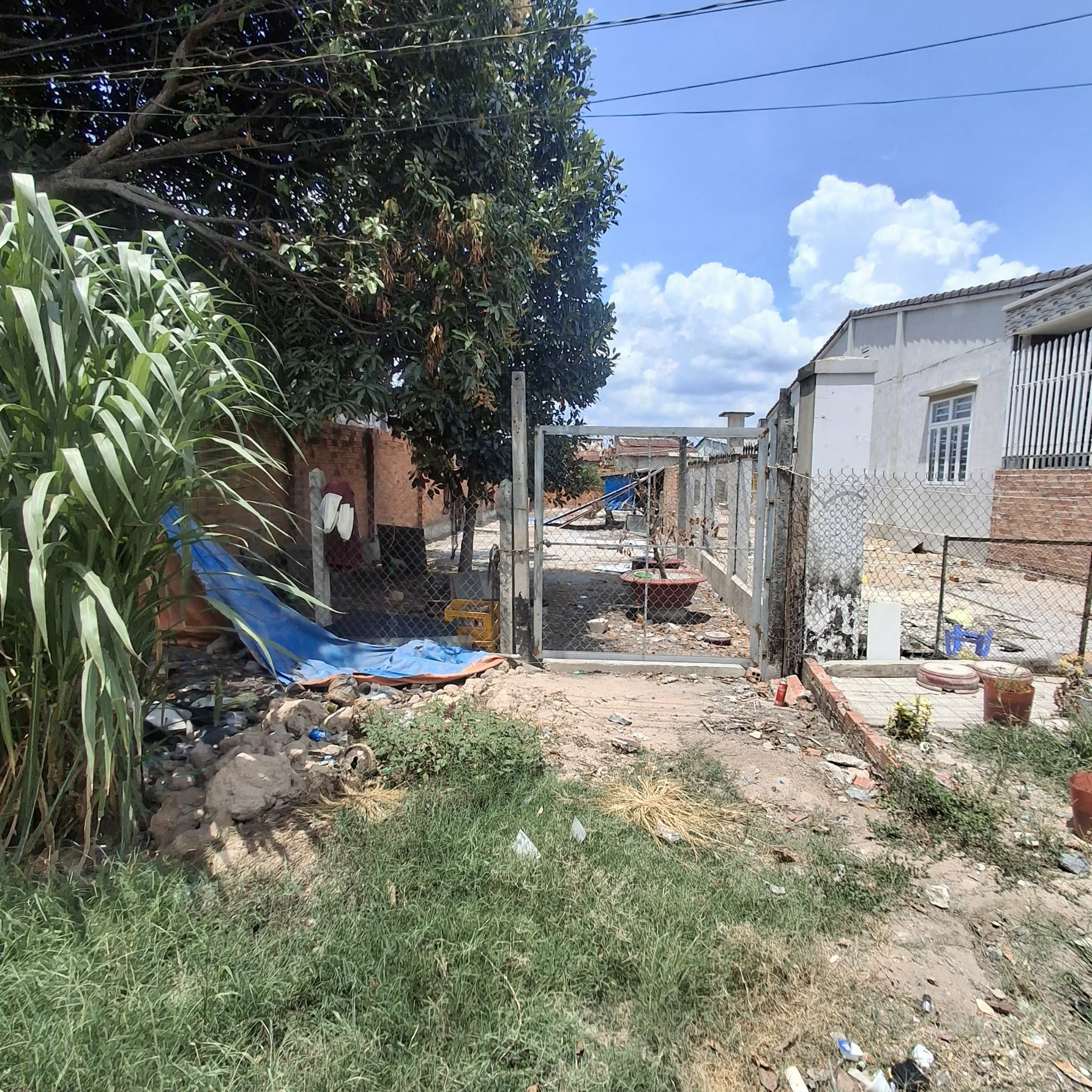 Ngan 6m x28m  130tr 1m ngang con thuong luong