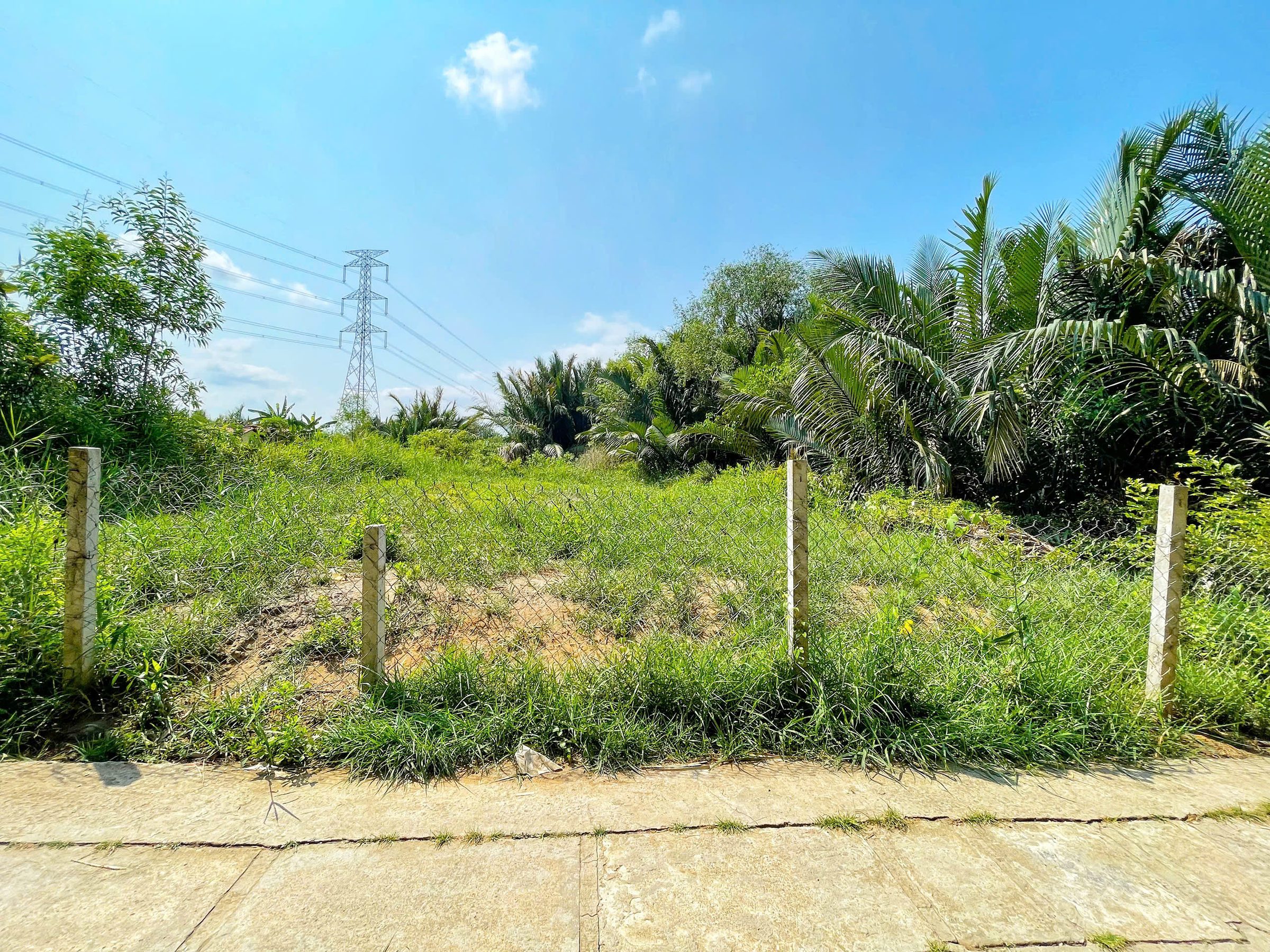 Chủ bán gần 700m2 đất vườn, view sông thoáng mát, 3.5 tỷ