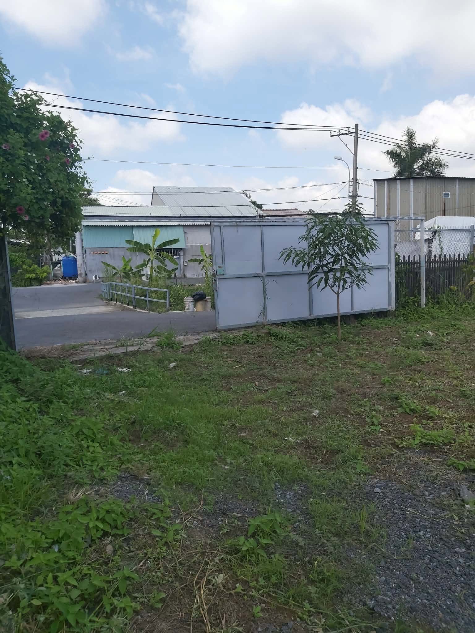 CHO THUÊ 4.700M2 ĐẤT THỔ CƯ - HỢP ĐỒNG DÀI HẠN - ĐẤT TẠI ĐƯỜNG NGUYỄN BÌNH.