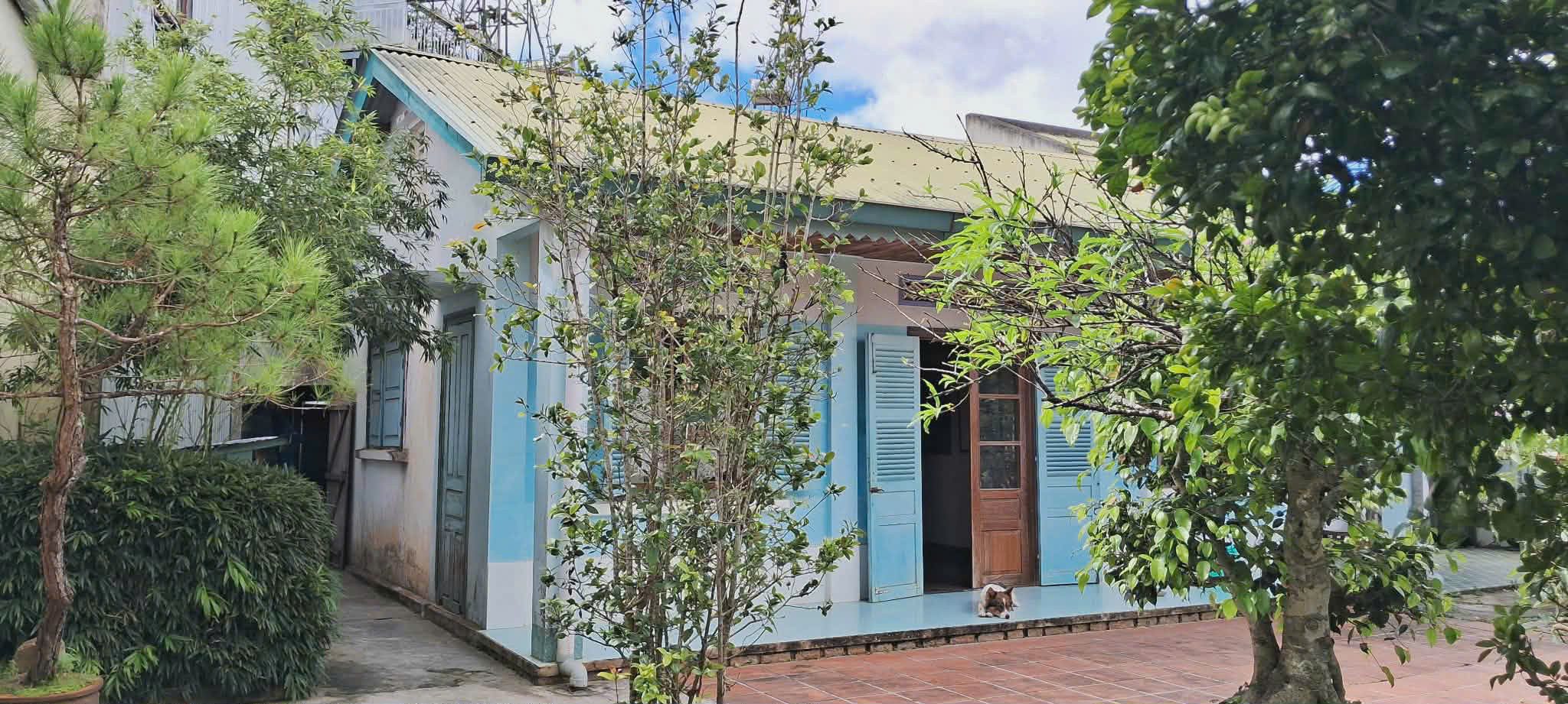 Bán đất tại Nguyễn Du, p 10, TP. Đà Lạt, 13 tỷ, 496 m2, giá siêu hời Hot!