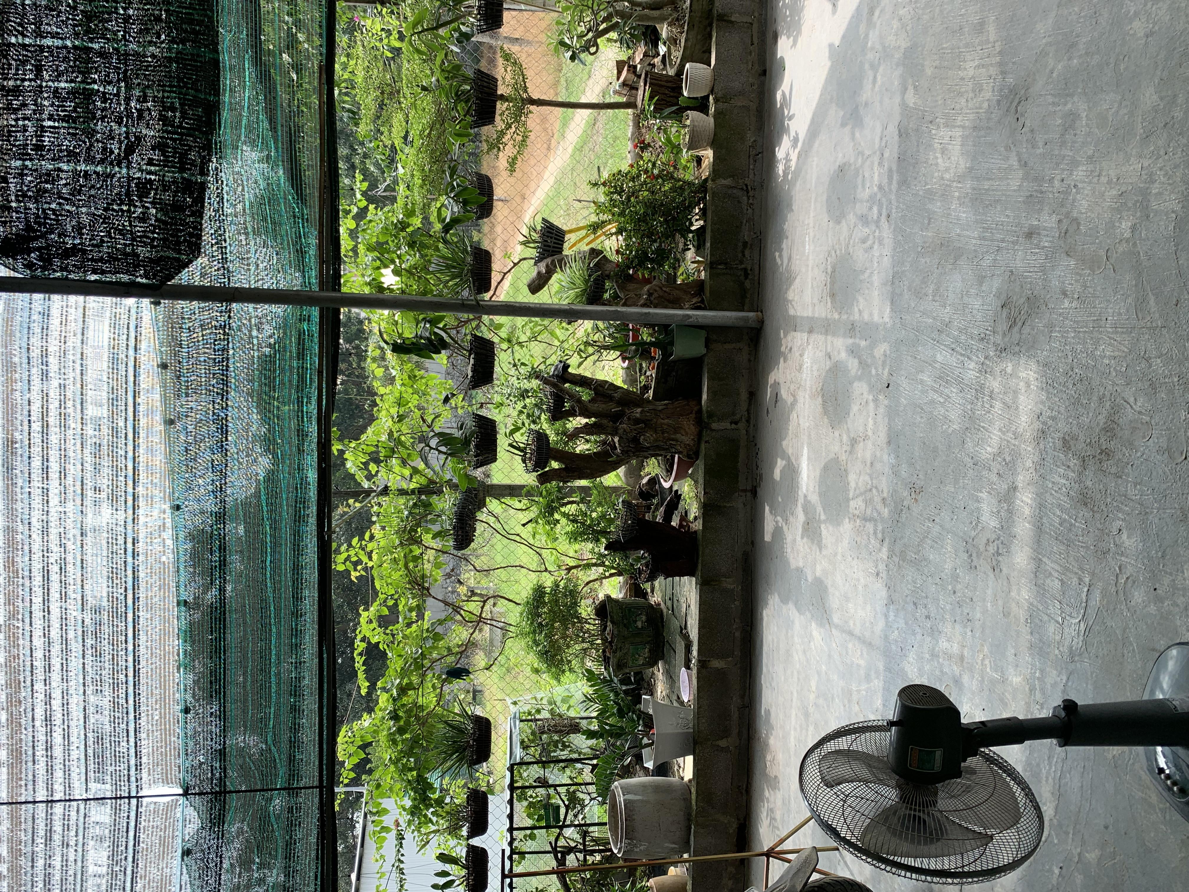 Bán đất 240m² ngang 8m giá 800 triệu tại Phường Cam Phúc Bắc Thành phố Cam Ranh