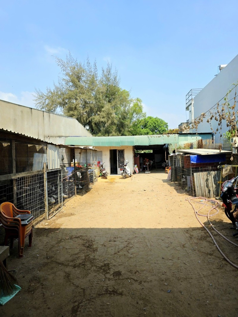 Đất Mặt Tiền Nguyễn Duy Trinh, 264m² – Gần Chợ Long Trường, Giá 23.5 tỷ TL