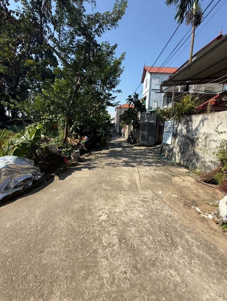 🔥 ĐẤT ĐẸP HIẾM – SONG LIỄU, THUẬN THÀNH, BẮC NINH 🔥

• Diện tích: 74.1m²
• Mặt tiền: 4.6m – vuông vắn