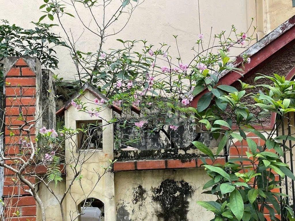 Cho Thuê Nhà Ngõ 12 Nguyên Hồng - Giảng Võ 60M² 3 Tầng 3 Ngủ - Nội Thất CB - Ô Tô Đỗ Cửa - Giá Thuê 17tr