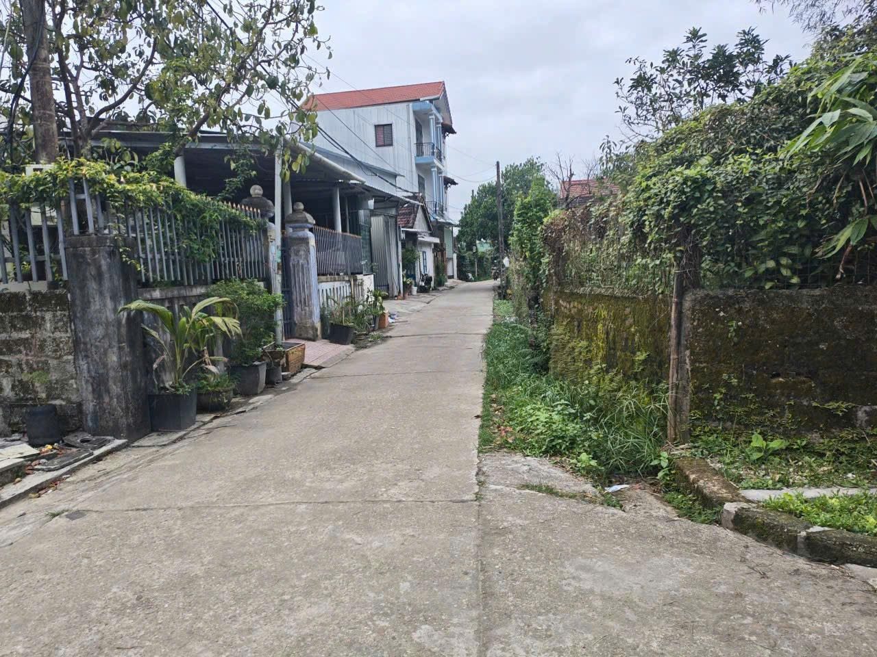 Chủ hạ giá bán lô đất nguyễn hữu cảnh gần 100m còn 1,6 tỷ
