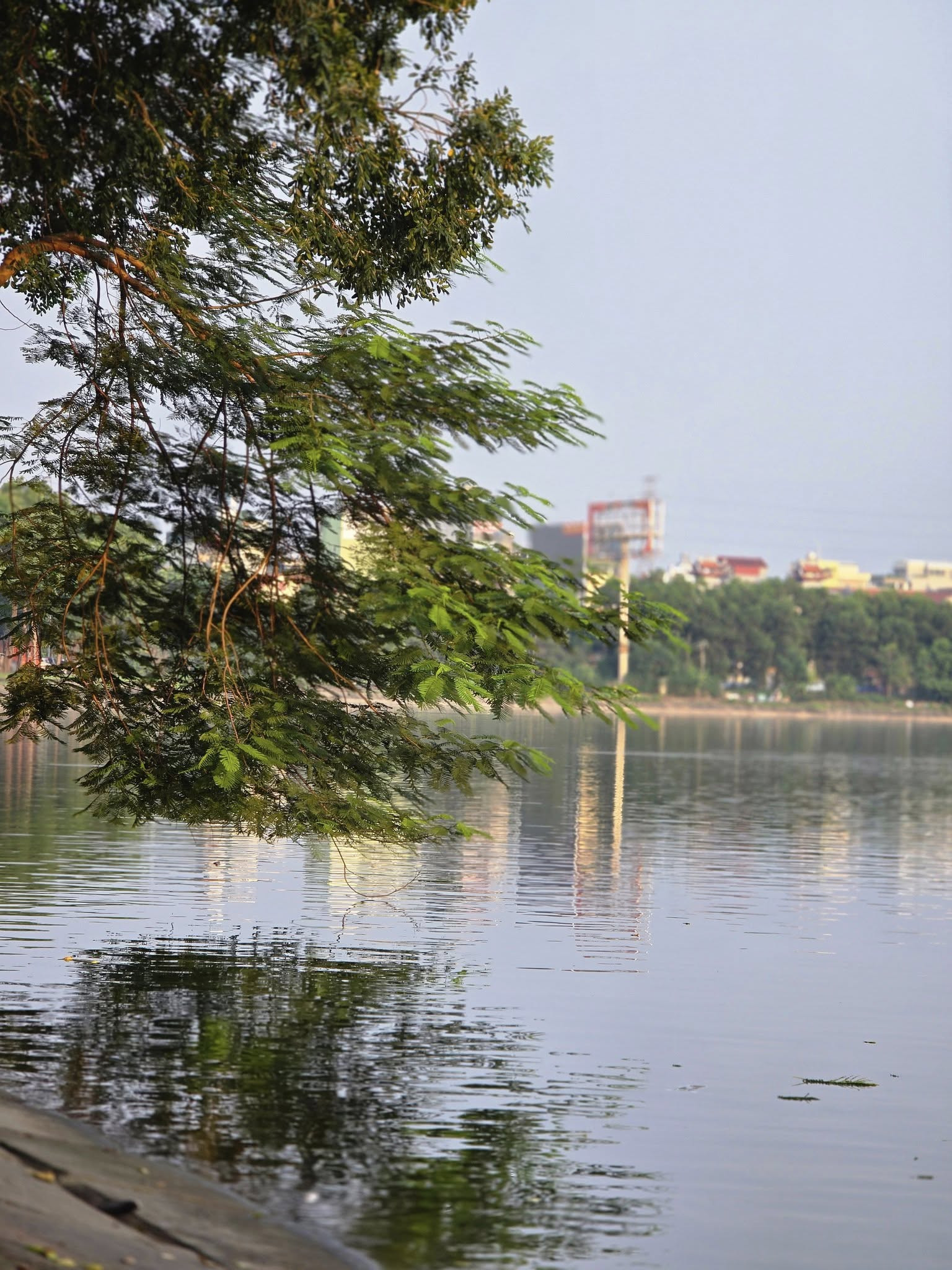 BÁN TÒA NHÀ VP MẶT PHỐ NGUYỄN HỮU THỌ. 250M2 - 8 TẦNG. THANG MÁY.