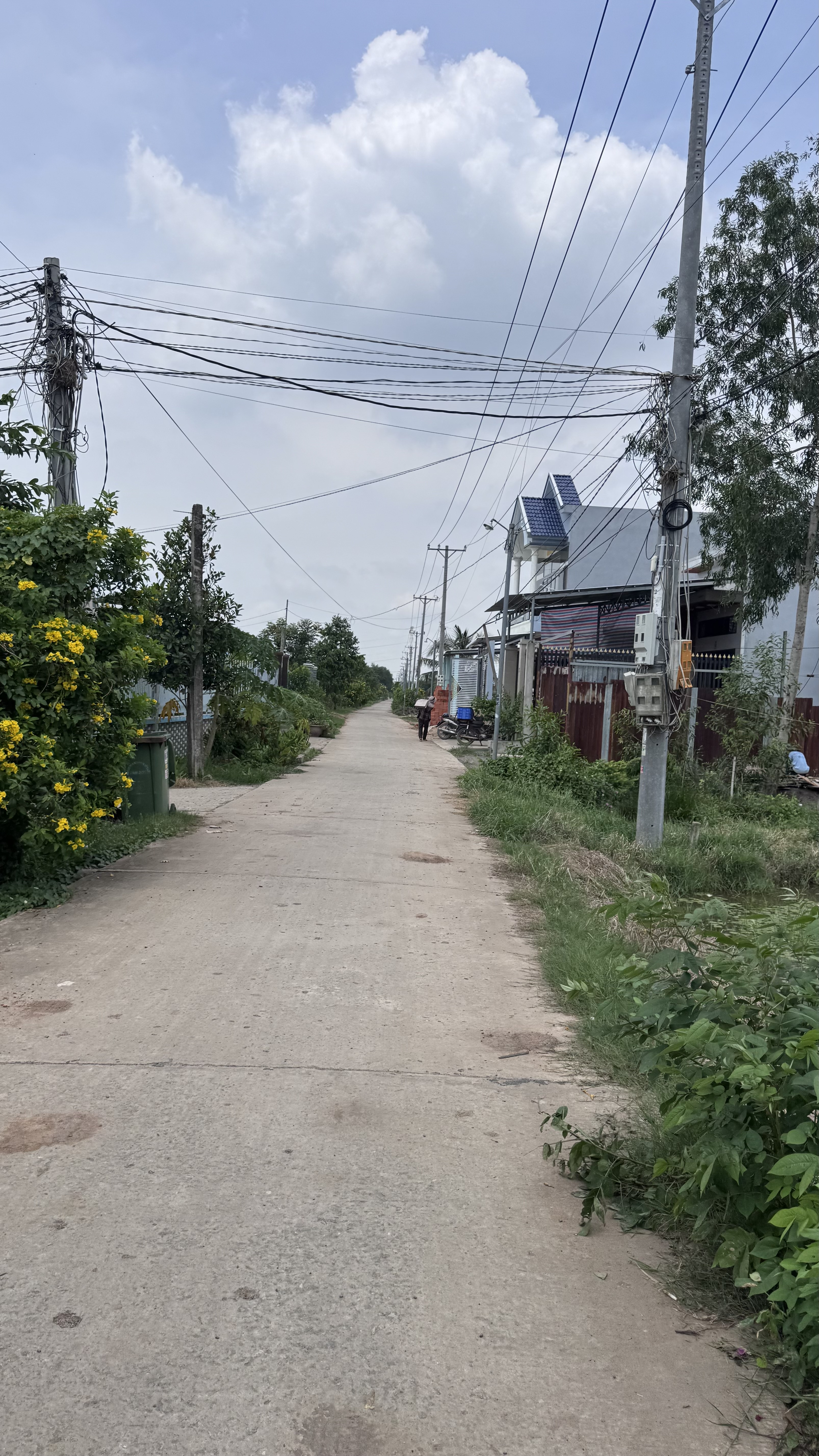 Đất nền tân bửu bến lức kế bên bình chánh HCM