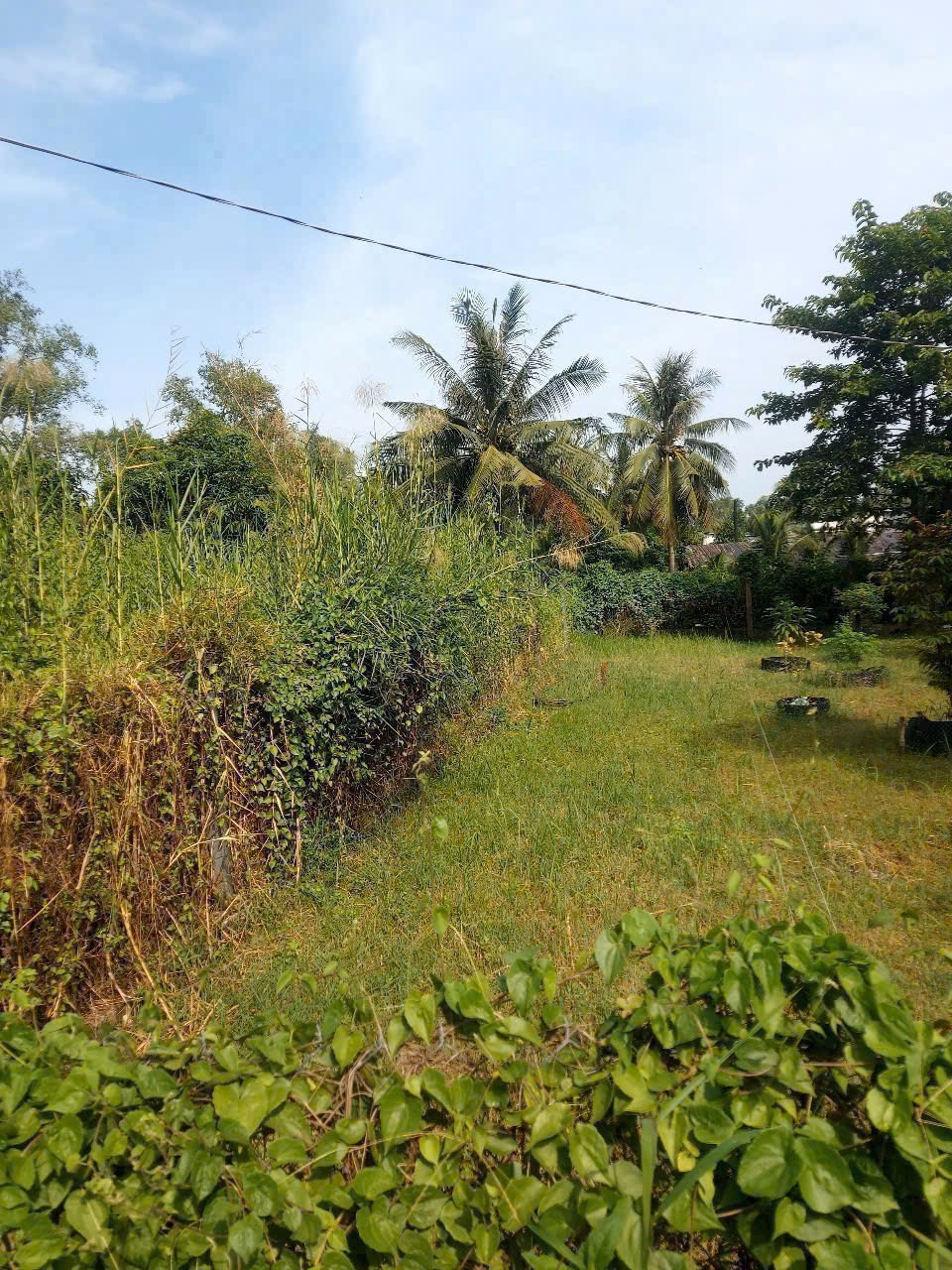 Nền thổ cư thanh phú phường bến lức tây ninh view sông thanh phú