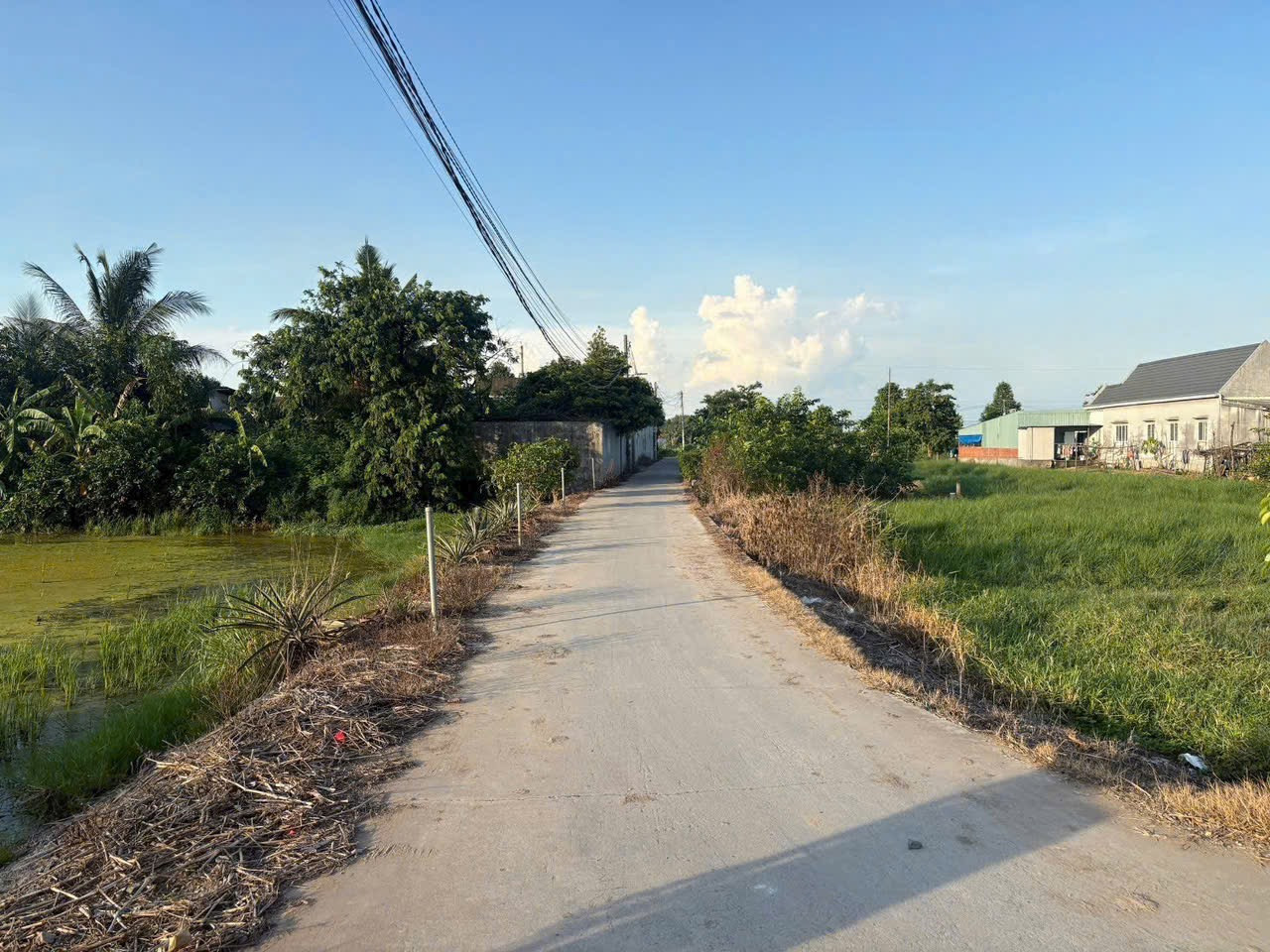 Nền thổ cư đường ôtô thanh phú phường bến lức kế bên ecopank