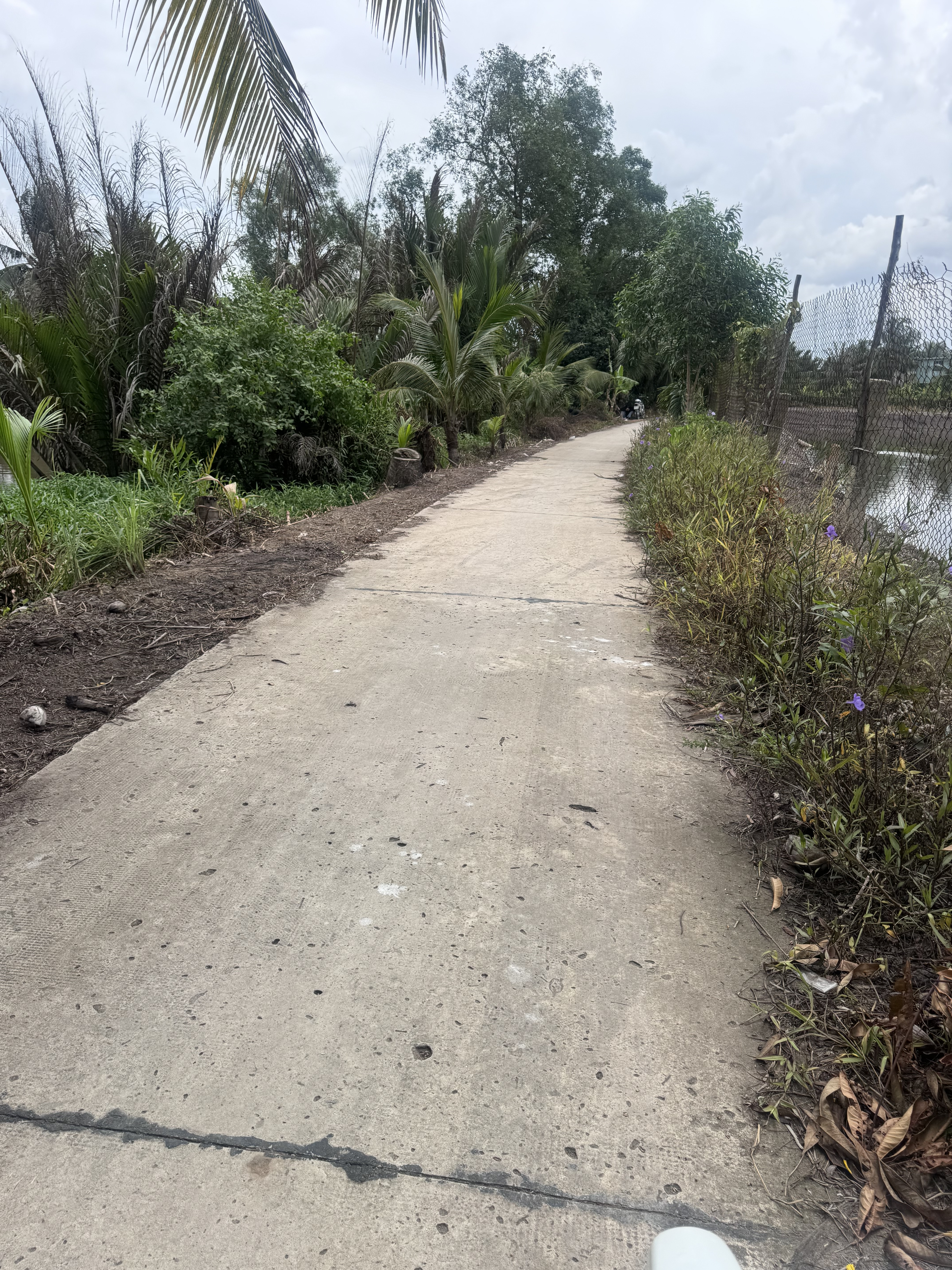 Bán Đất 107m2 có sẵn 107 m2 thổ cư giá 1.15 tỷ tại Đường Nguyễn Hữu trí Xã Thanh Phú Huyện Bến Lức Long An