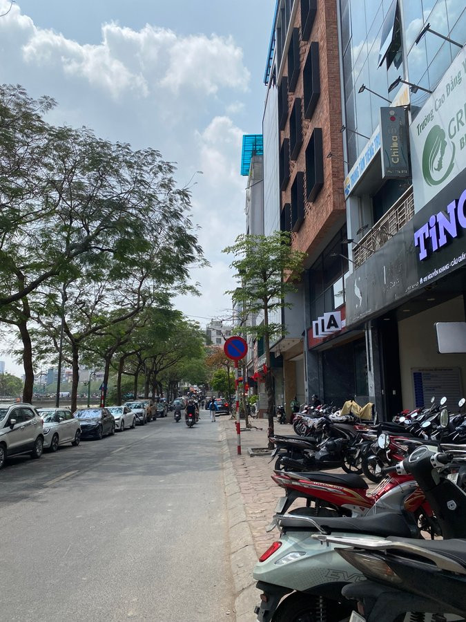 Bán Nhà Mặt Phố Nguyễn Khang. Cầu Giấy. Thang Máy. Ô Tô. Vỉa Hè. DT 88m2. Giá 54.5 Tỷ.