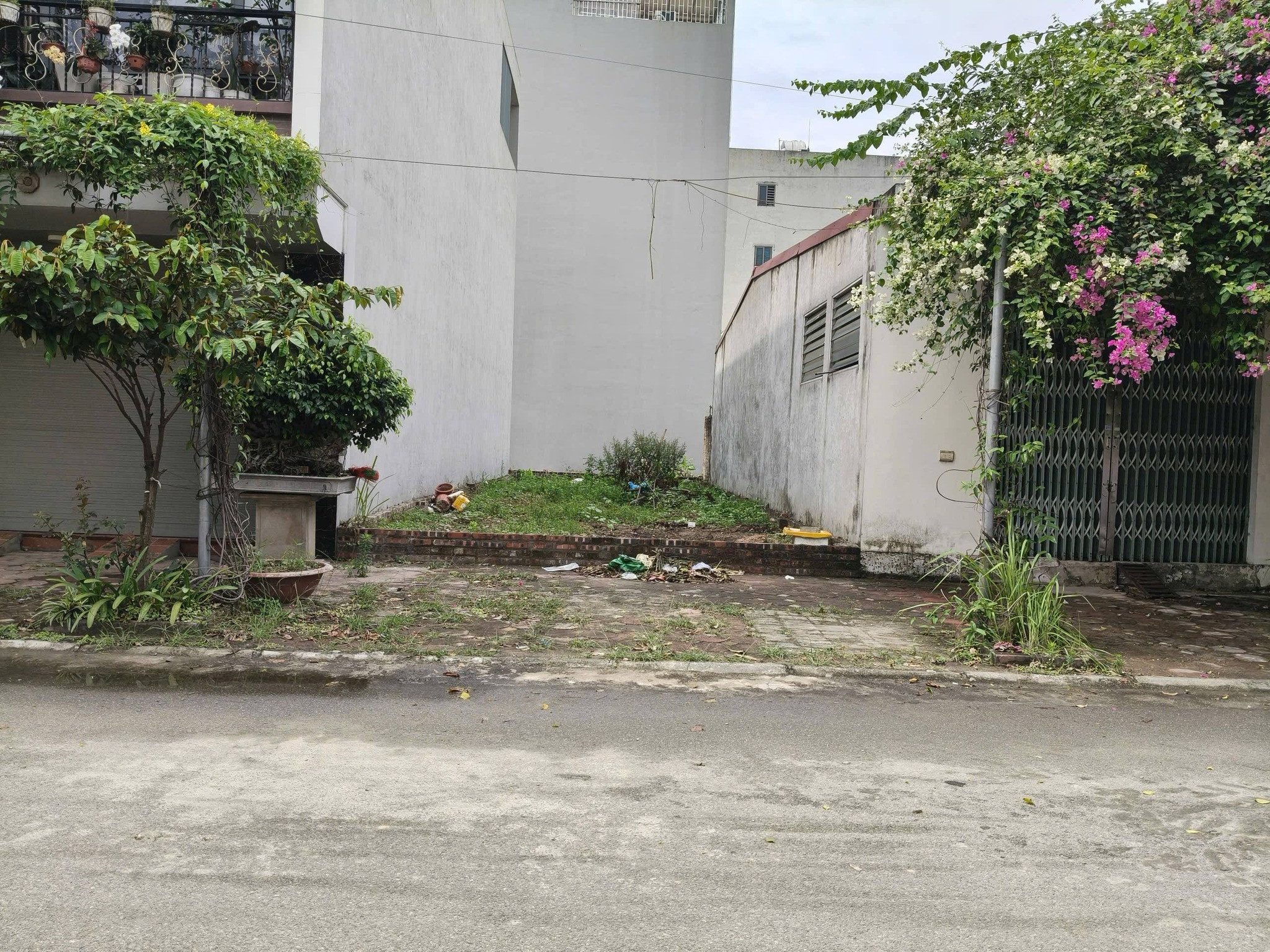 Nguyên Khê đất đấu giá X2, 80m2, mt5m, 11.5 tỷ, Đông Anh