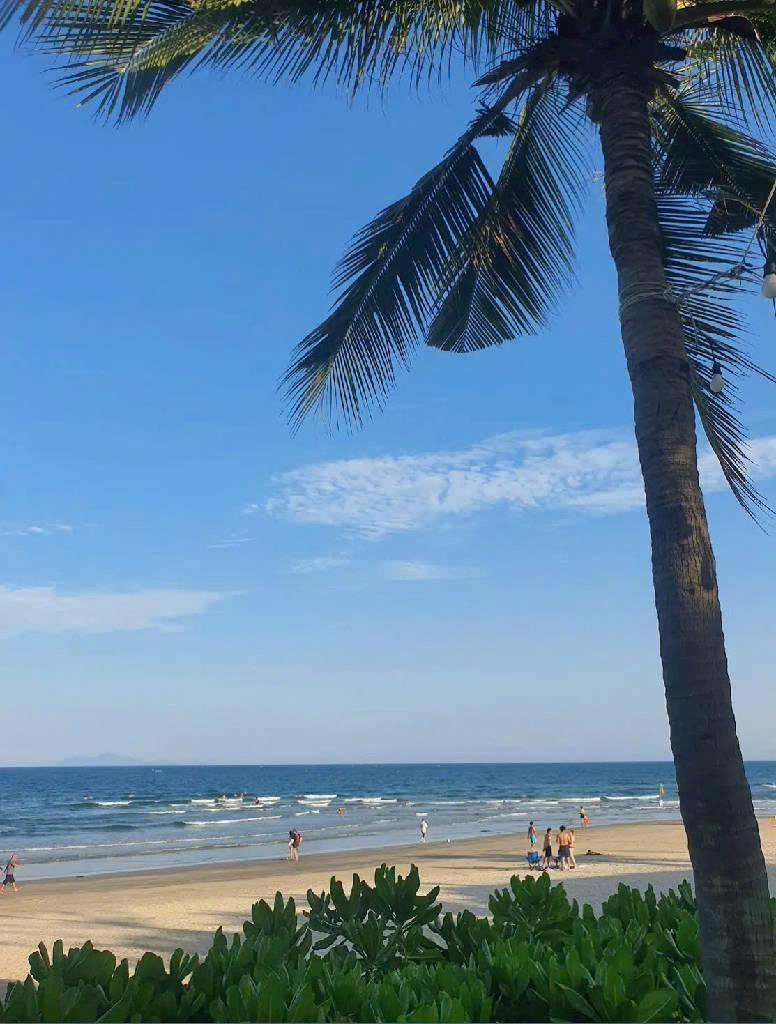 📌📌📌LÀM VIỆC TRỰC TIẾP GIÁ TỐT !!! Bán đất Nguyễn Phan Vinh, Thọ Quang
