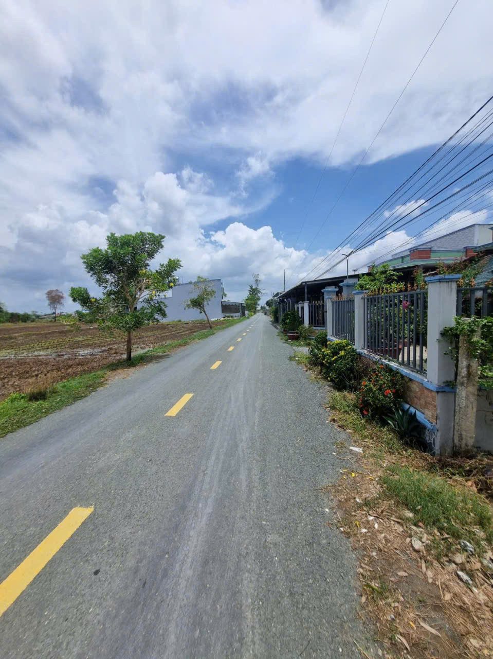 Giá tốt đầu tư - mặt tiền Nguyễn Quang Đại - Mỹ Lệ - Long An (Tây ninh) 5 x 30m/ 150 m² chỉ 1.25T