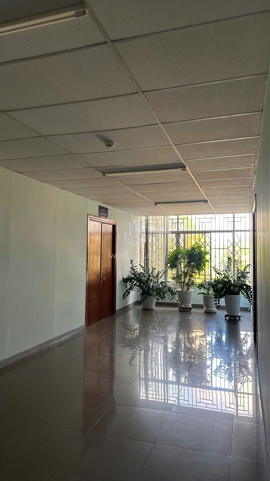 🏢 SIÊU PHẨM CHO THUÊ TÒA NHÀ MẶT TIỀN NGUYỄN THÁI HỌC – HƠN 1.000M² SÀN – CHỈ 90 TRIỆU/THÁNG 🏢