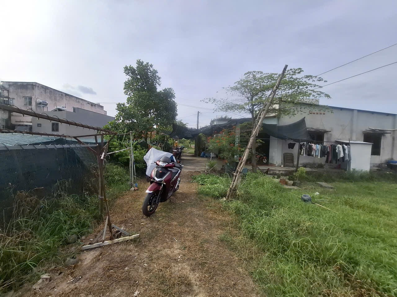300m2 thổ đường 5m ds98 tân phú trung cực rẻ