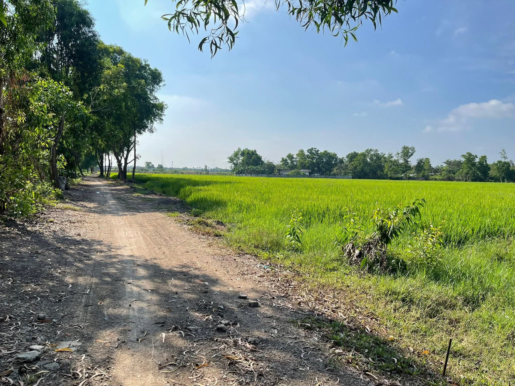 Bán đất mặt tiền đường Nguyễn Thị Ly xã Xuân Thới Sơn huyện Hóc Môn TPHCM, DT: 10670m2.