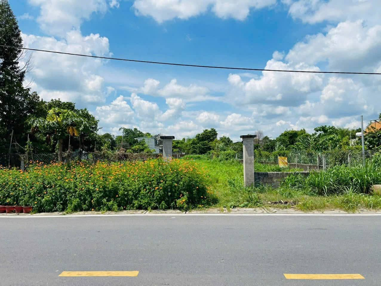 Bán đất mặt tiền Nguyễn Thị Nê xã Phú Hòa Đông Củ Chi TPHCM, DT: 20x48m.