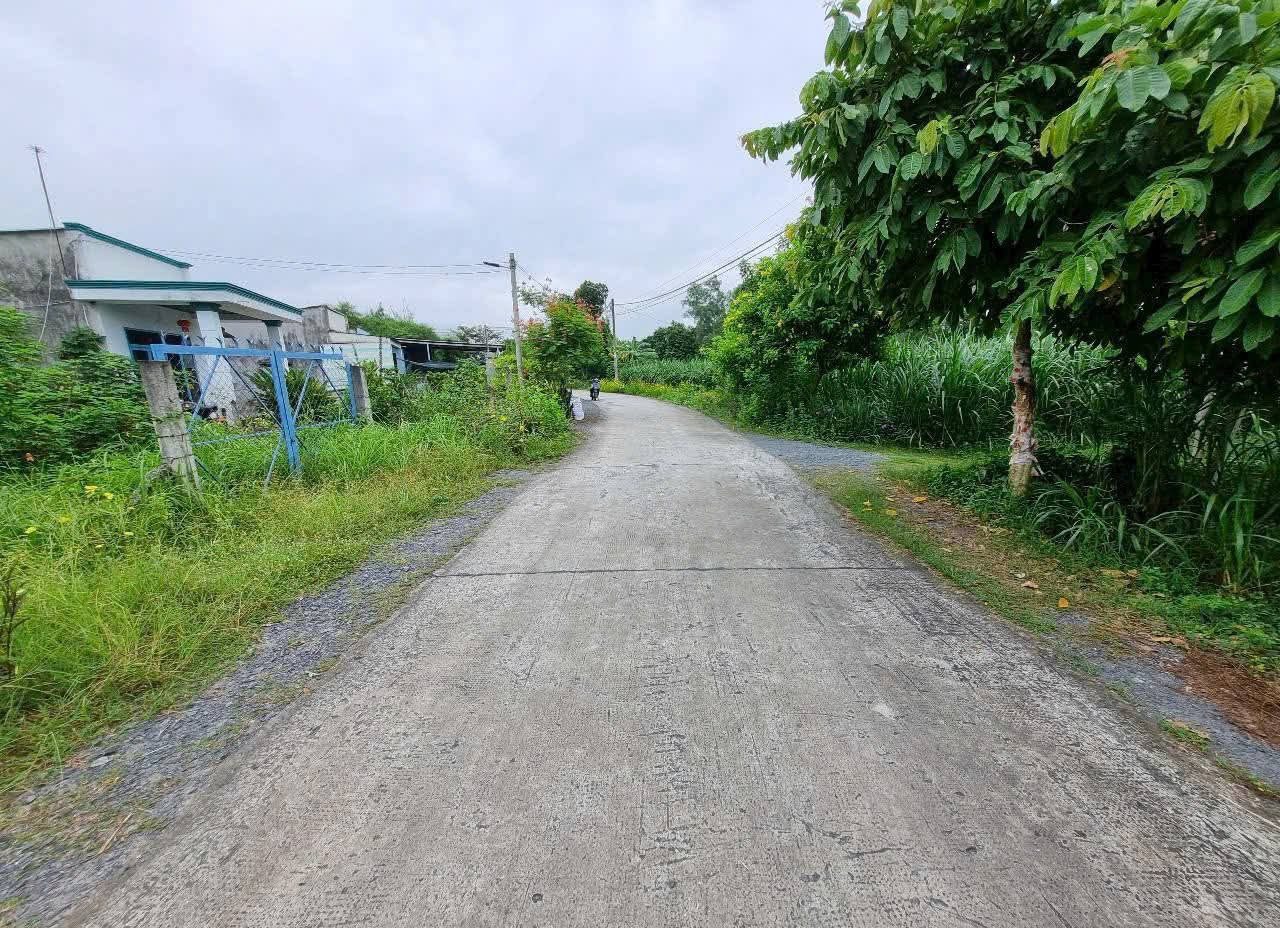 Bán đất thổ cư sát đường Nguyễn Thị Nê xã Phú Hòa Đông Củ Chi TPHCM, DT: 21x49m.