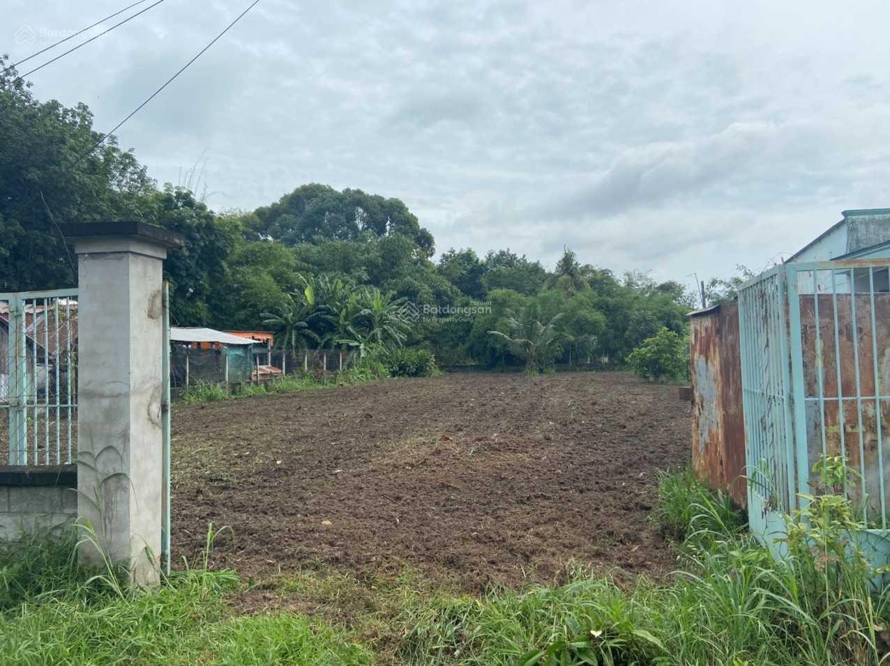 Bán đất xã Phú Hoà Đông Củ Chi, 1 sẹc ngắn Nguyễn Thị Nê - 1188m², 21x56m (thổ cư 200m²), giá tốt